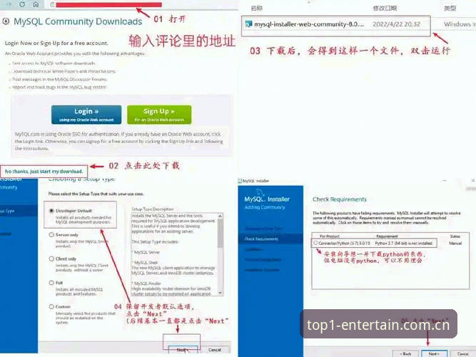 第一娱乐版本教程详解：从安装到进阶操作全攻略